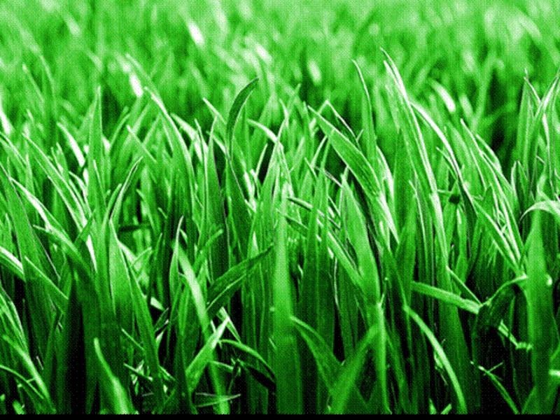 18 Kookaburra Court, Meringandan QLD 4352