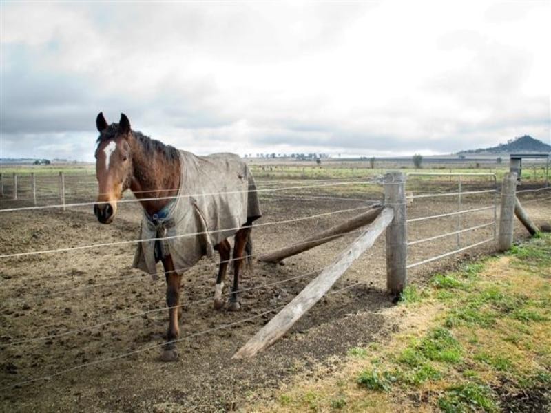 10 Kingsthorpe-Silverleigh Road, Kingsthorpe QLD 4400