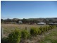 8 Thyme Court, Hodgson Vale QLD 4352