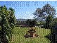 7 Rocky Ridge Court, Cotswold Hills QLD 4350