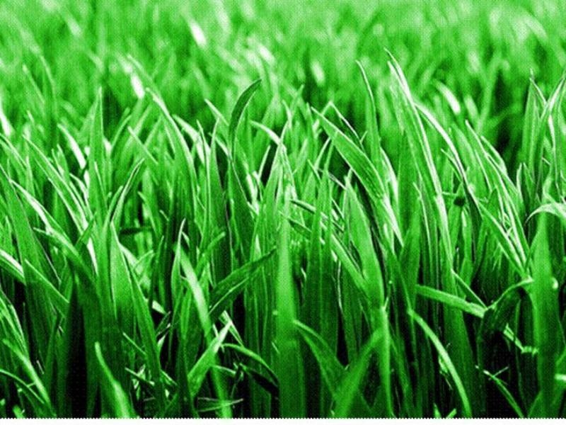 Lot 104 Alexander Avenue, Highfields QLD 4352