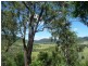 1260 Flagstone Creek Road, Flagstone Creek QLD 4344