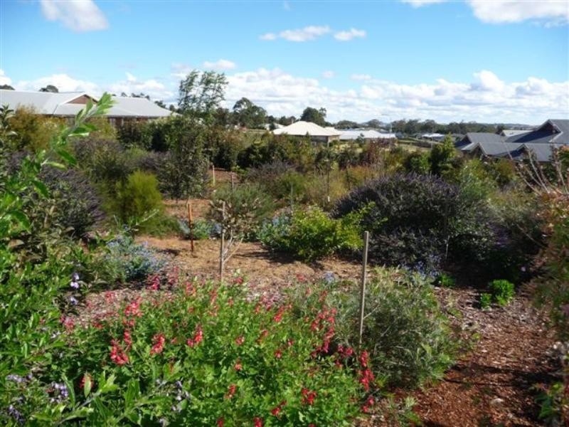 1 Debbie Court, Highfields QLD 4352