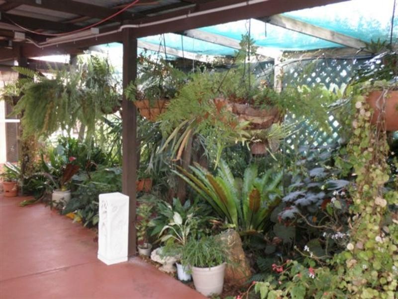 3 Begonia Court, Centenary Heights QLD 4350