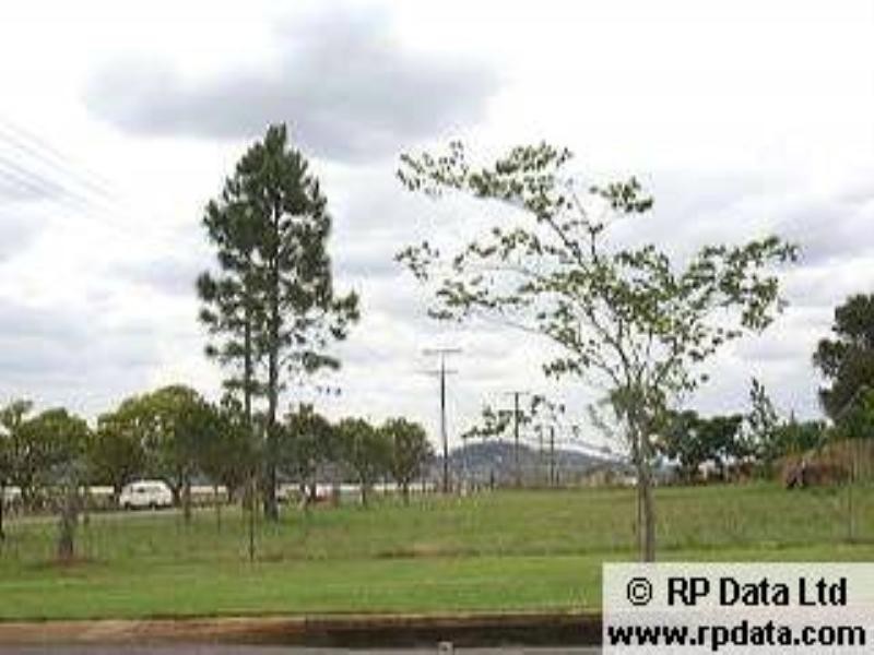 51 Gipps Street, Drayton QLD 4350