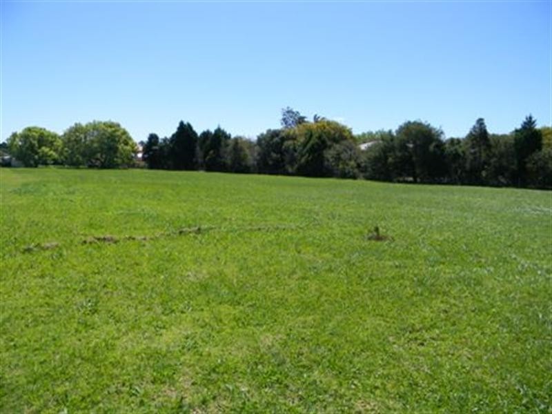 28 Bunya View Drive, Highfields QLD 4352