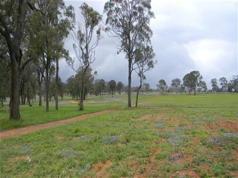 Lot 593 Rodeo Drive, Meringandan QLD 4352