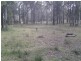 Lot 2 New England Highway, Highfields QLD 4352