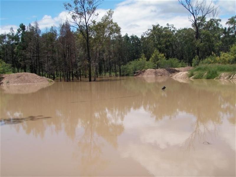 168 Akers Gully Road, Miles QLD 4415