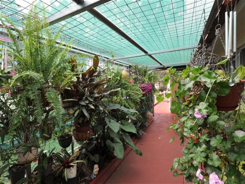 267 Tor Street, Wilsonton QLD 4350