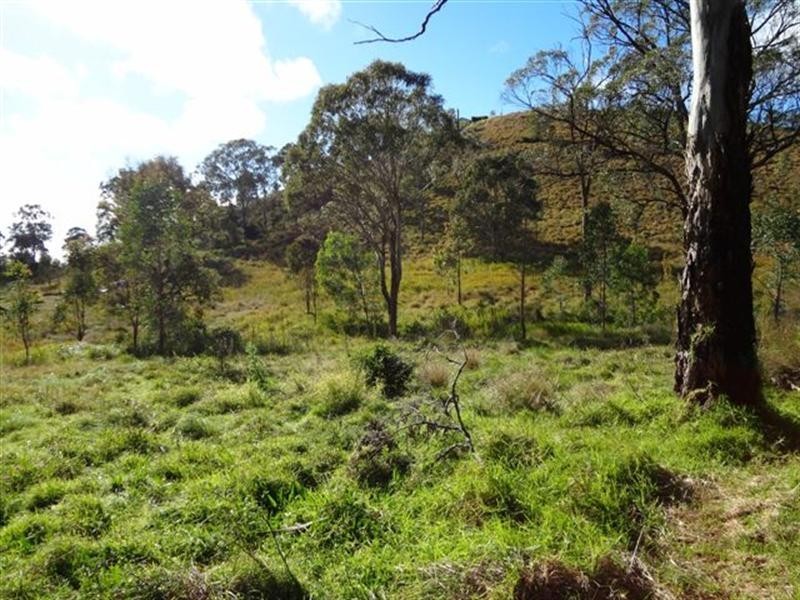 L21 Forest Drive, Hampton QLD 4352