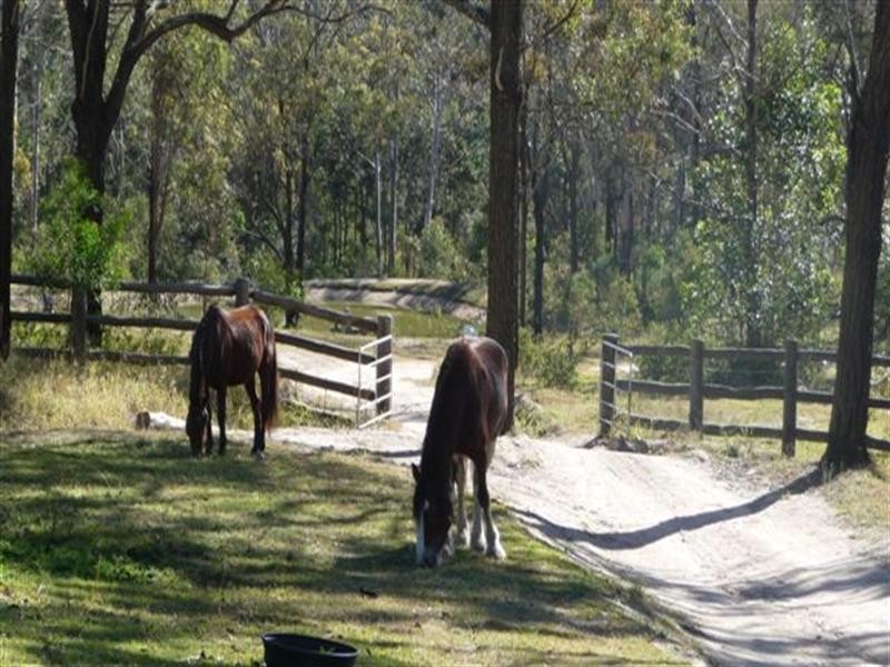 998 Perseverance Dam Road, Crows Nest QLD 4355