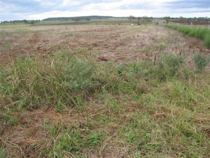 Lot 10 Southbrook-Rockview Road, Southbrook QLD 4363