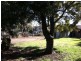 10 George Street, Kingsthorpe QLD 4400