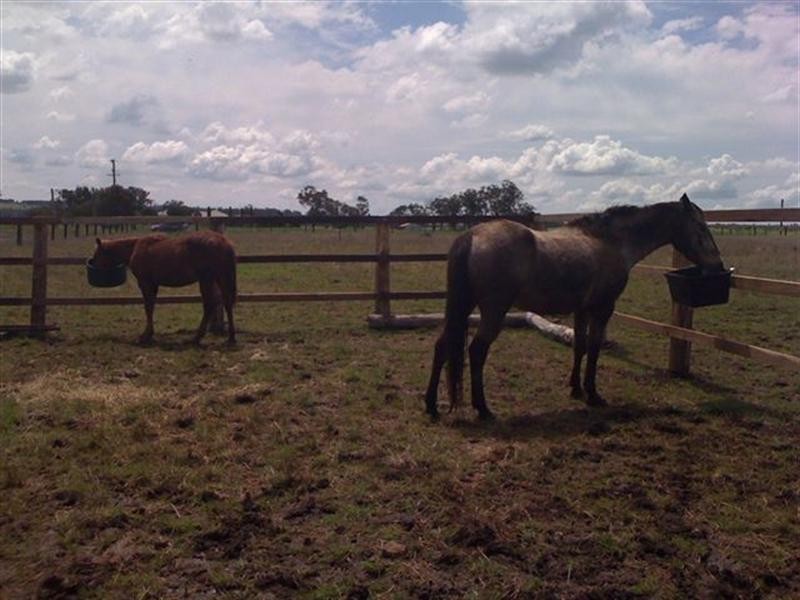 Lot 5 Colemans Road, Goombungee QLD 4354