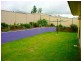 19 Watervale Street, Wilsonton Heights QLD 4350