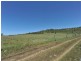 13 Gulligal Street, Kingsthorpe QLD 4400