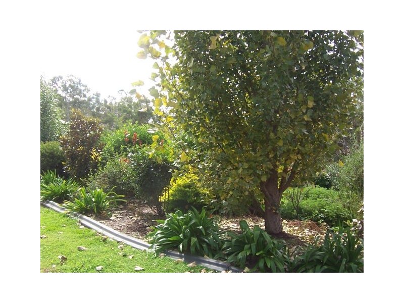 6 Jackson Close, Highfields QLD 4352