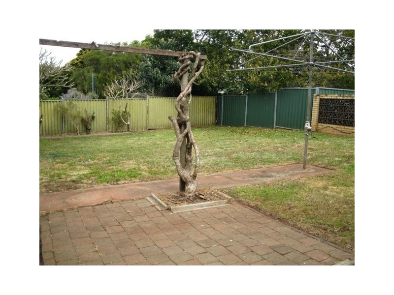 165 Ramsay Street, Centenary Heights QLD 4350