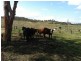Lot 18 Morris-Ganzer Road, Gowrie Junction QLD 4352