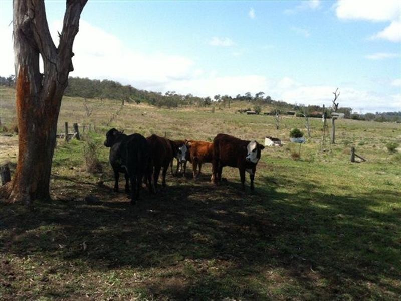 Lot 18 Morris-Ganzer Road, Gowrie Junction QLD 4352
