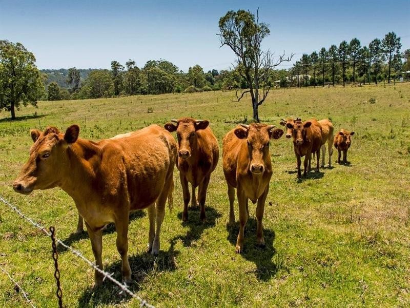 35 Recreation Reserve Road, Highfields QLD 4352