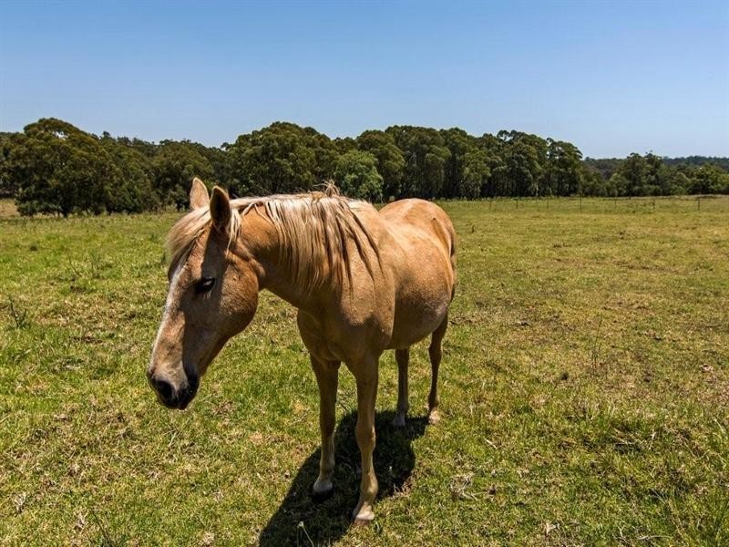 35 Recreation Reserve Road, Highfields QLD 4352