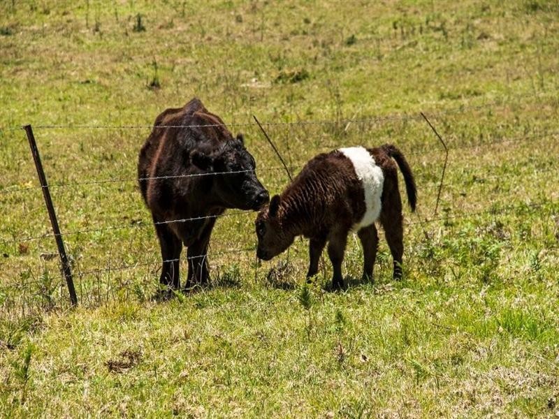 35 Recreation Reserve Road, Highfields QLD 4352