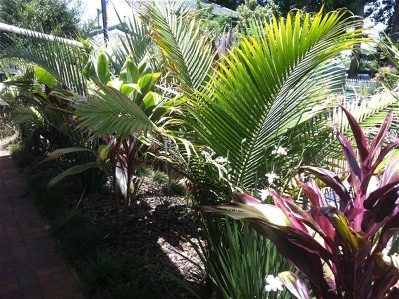 50 Rowbotham Street, Rangeville QLD 4350