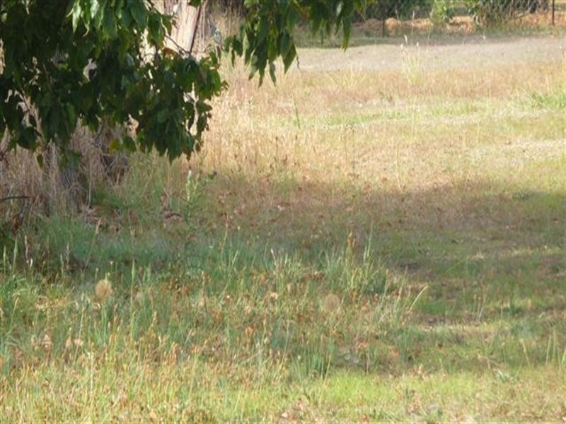 42 Mason Street, Clifton QLD 4361