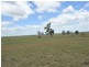 443 Umbiram Road, Wyreema QLD 4352