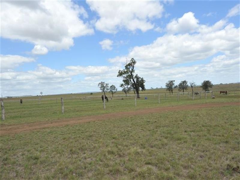 443 Umbiram Road, Wyreema QLD 4352