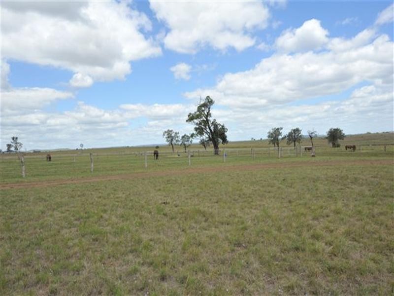443 Umbiram Road, Wyreema QLD 4352