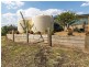 31 Catherine Crescent, Kingsthorpe QLD 4400