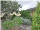 9 Samuel Court, Darling Heights QLD 4350