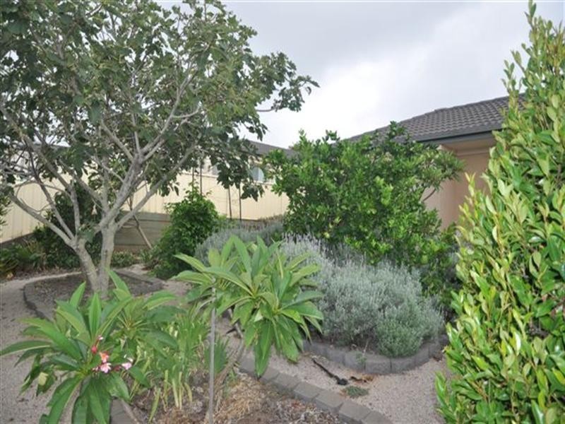 9 Samuel Court, Darling Heights QLD 4350