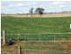 2239 Gore Highway, Southbrook QLD 4363