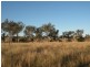 2239 Gore Highway, Southbrook QLD 4363