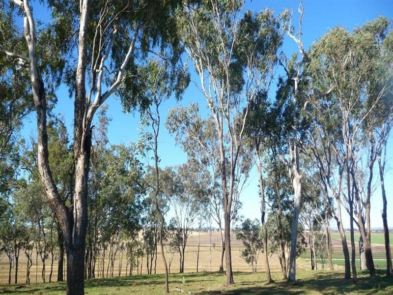 2239 Gore Highway, Southbrook QLD 4363