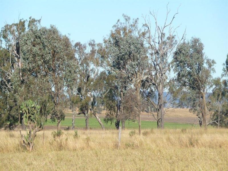 2239 Gore Highway, Southbrook QLD 4363
