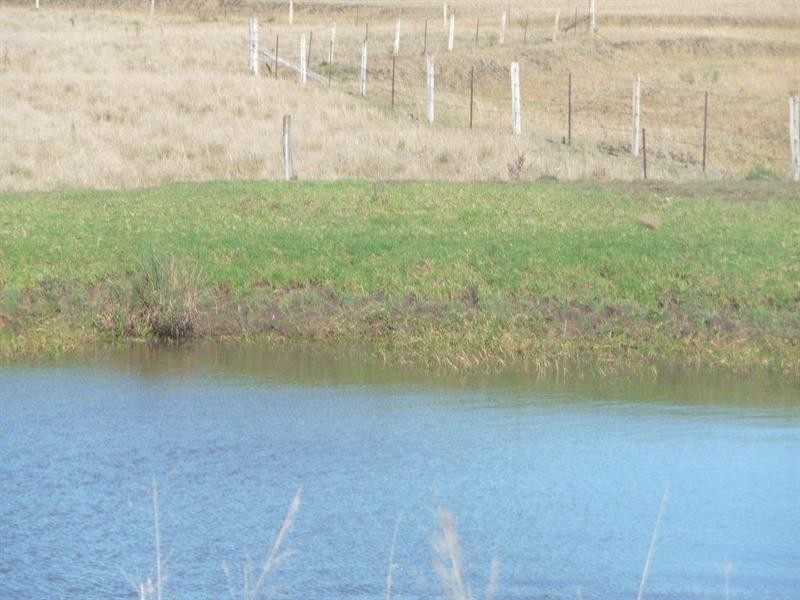 2239 Gore Highway, Southbrook QLD 4363