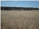 2239 Gore Highway, Southbrook QLD 4363