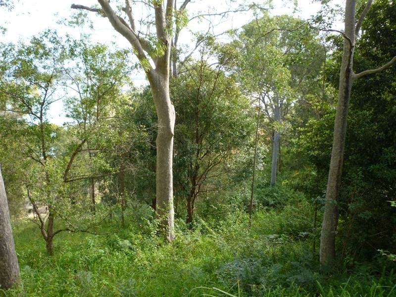 Wangi Wangi NSW 2267