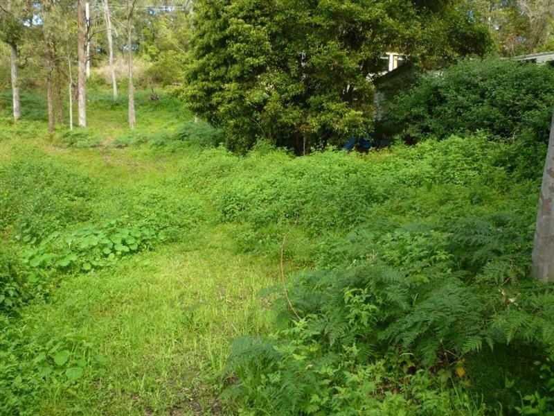 Wangi Wangi NSW 2267