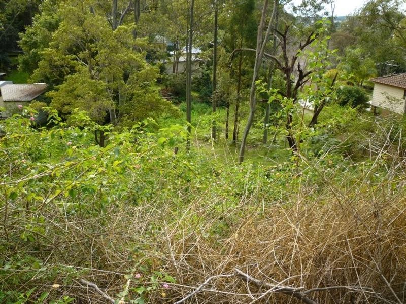 Wangi Wangi NSW 2267