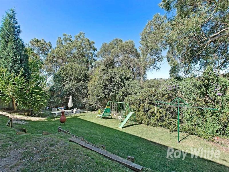 Woodrising NSW 2284