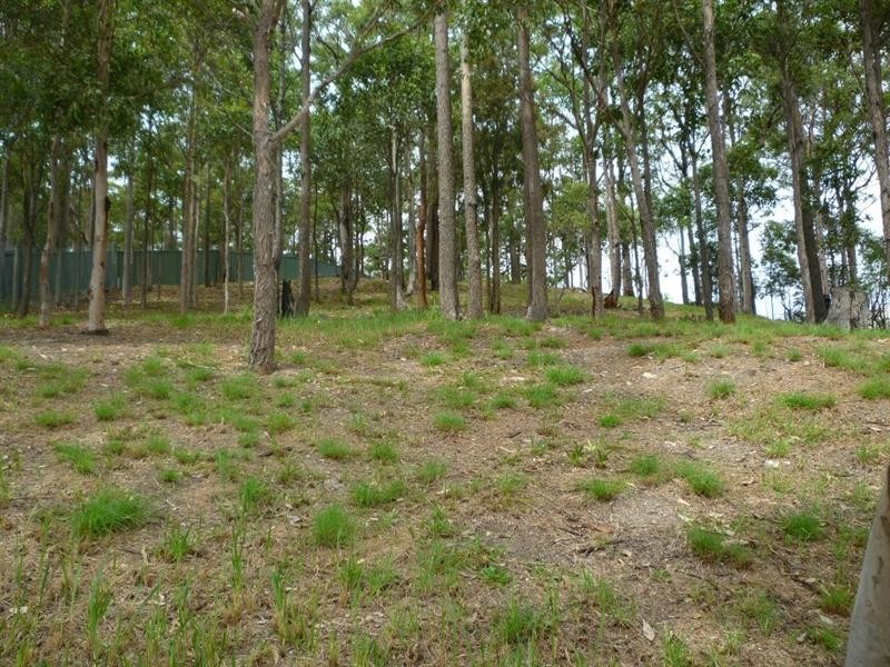 Cameron Park NSW 2285