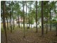 Cameron Park NSW 2285
