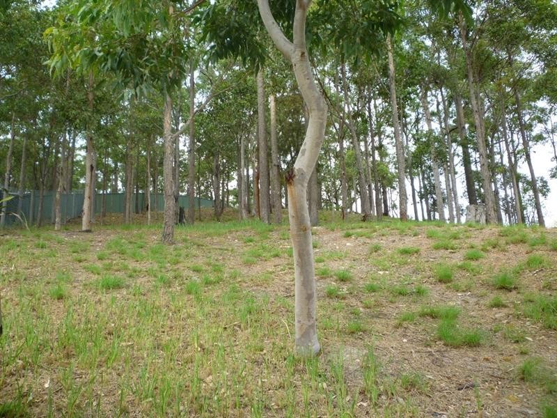 Cameron Park NSW 2285