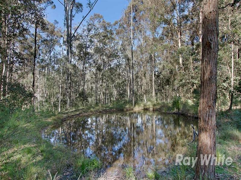 Brunkerville NSW 2323